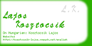 lajos kosztocsik business card